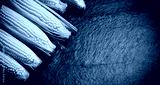 preview cold