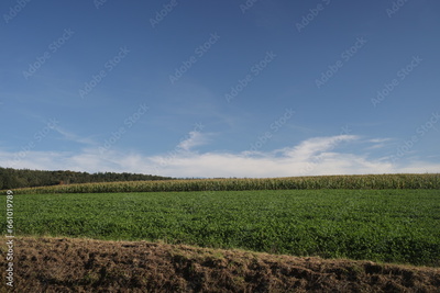 image to crop
