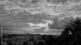 preview bw