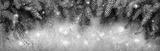 preview bw