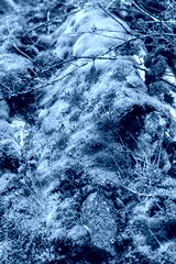 preview cold