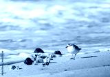 preview cold
