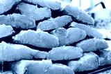 preview cold