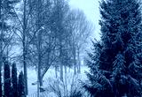 preview cold
