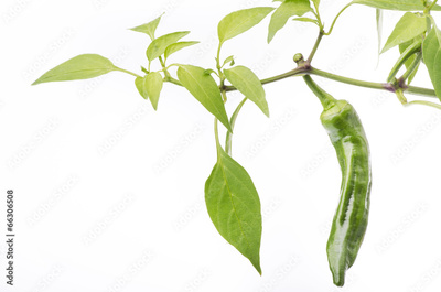 image to crop