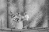 preview bw
