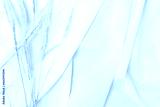 preview cold