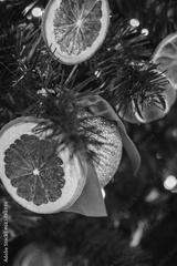 preview bw