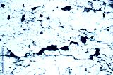 preview cold