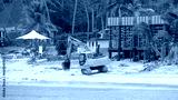 preview cold