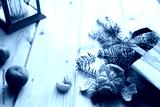 preview cold