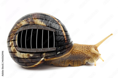 image to crop