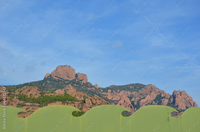 image to crop