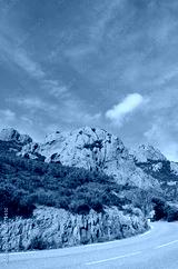 preview cold