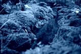 preview cold