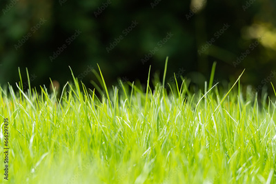 image to crop