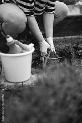 preview bw