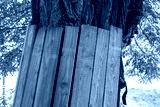 preview cold