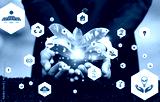 preview cold