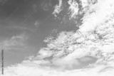 preview bw