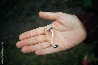 image to crop