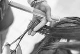 preview bw