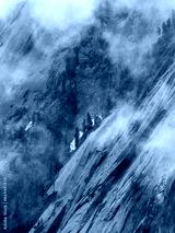 preview cold