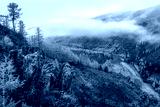 preview cold