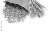preview bw