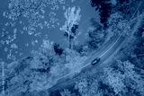 preview cold