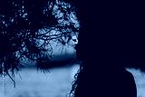 preview cold