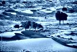 preview cold
