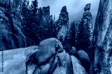 preview cold