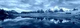 preview cold