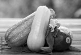preview bw