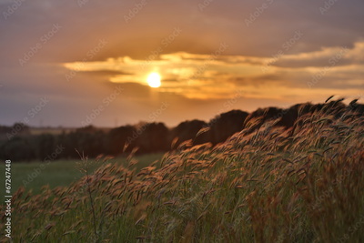 image to crop