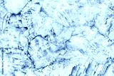 preview cold