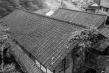 preview bw