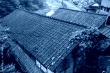 preview cold