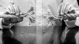preview bw