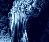 preview cold