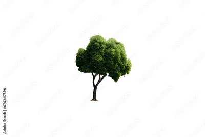 image to crop