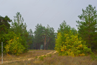 image to crop