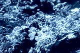 preview cold