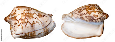 image to crop
