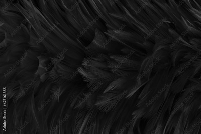 image to crop