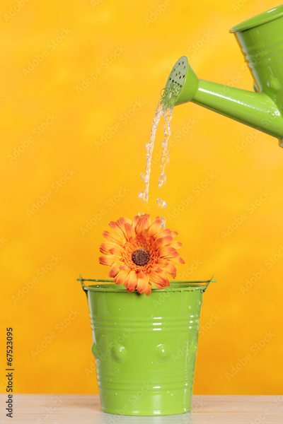 image to crop