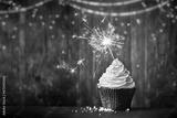 preview bw