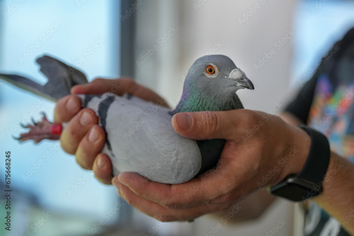 image to crop