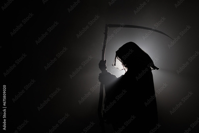 image to crop